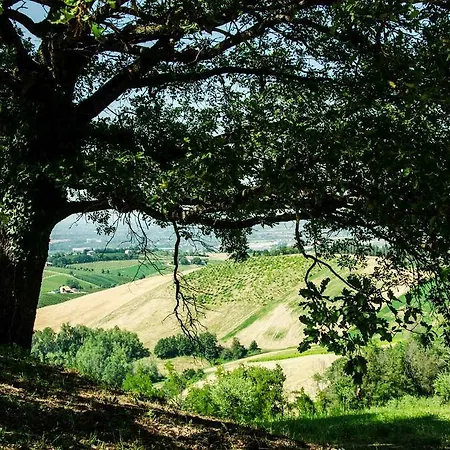Vakantieboerderij Il Castellazzo *