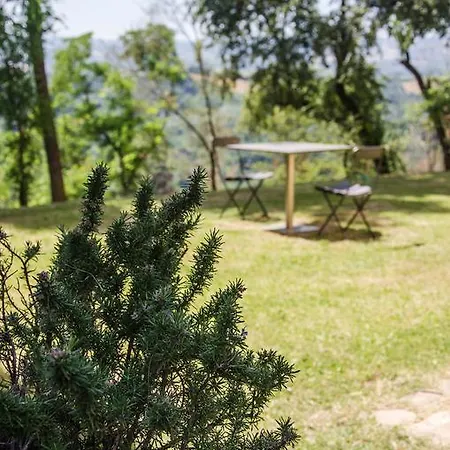 Il Castellazzo * Monteveglio