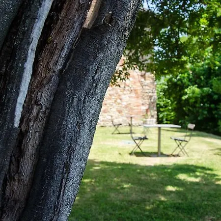 Il Castellazzo 蒙特韦廖