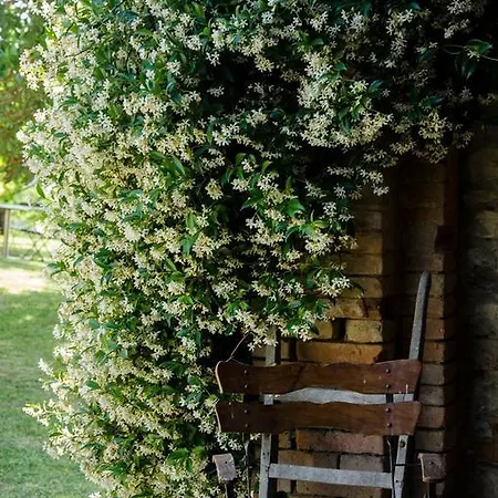 Vakantieboerderij Il Castellazzo *