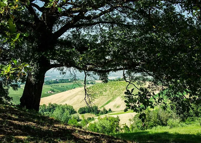 Feriegård Il Castellazzo *