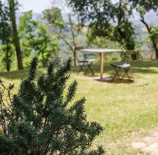 Il Castellazzo * Monteveglio